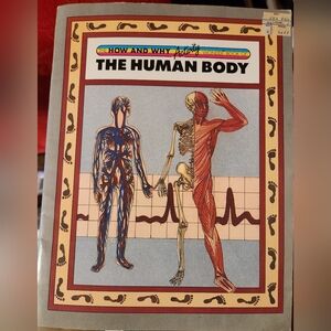 The How and Why Activity Wonder Book 1986 / How It Works Book of the Human Body